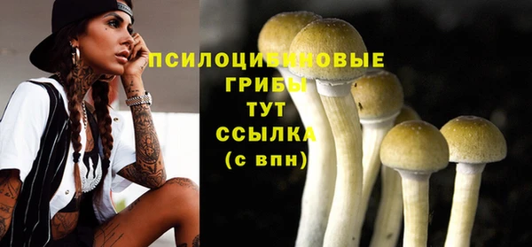 каннабис Новодвинск