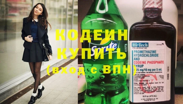 прущие грибы Новозыбков