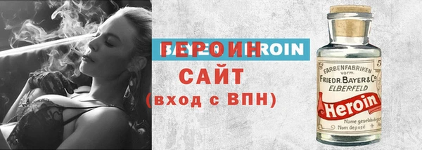 прущие грибы Новозыбков